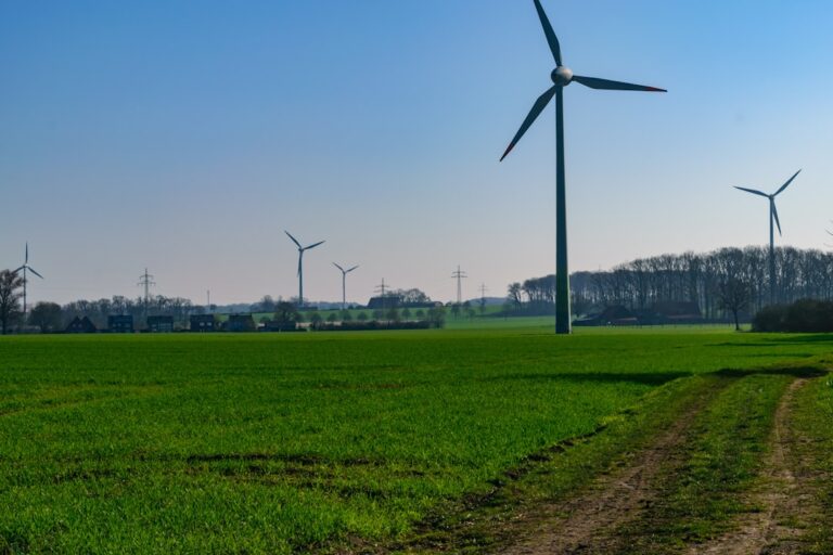 Sustainable Technology: Eco-Friendly Products You Should Consider Buying